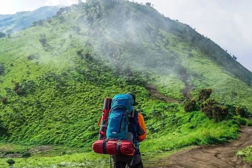 122亿欧元！勃林格殷格翰2023H1披露