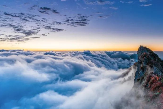 下跌超60%！“睡美人”将再度沉睡？