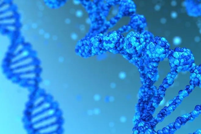 超15亿美元！美日2家公司合作开发眼病AAV基因疗法