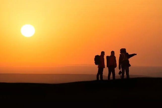 年赚8亿，毛利率超80%！知名药企纷纷跨界，掘金千亿“黄金赛道”