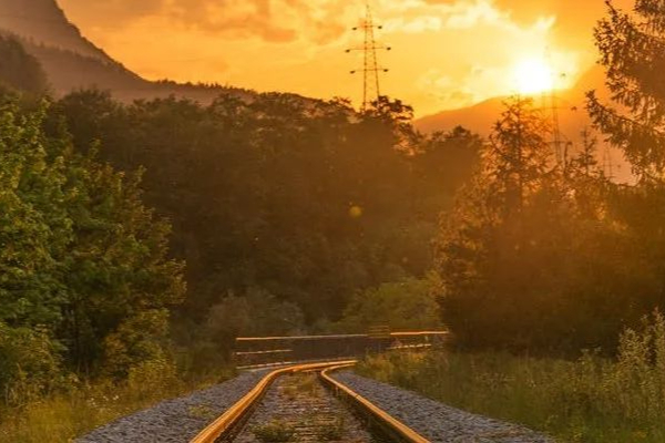 8亿美元打水漂？诺华终止Gyrograph公司基因治疗项目开发