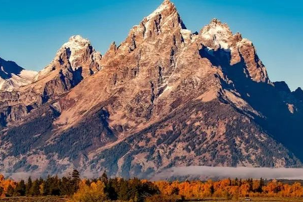 大涨20%！FDA认可心脏病基因疗法2期试验设计