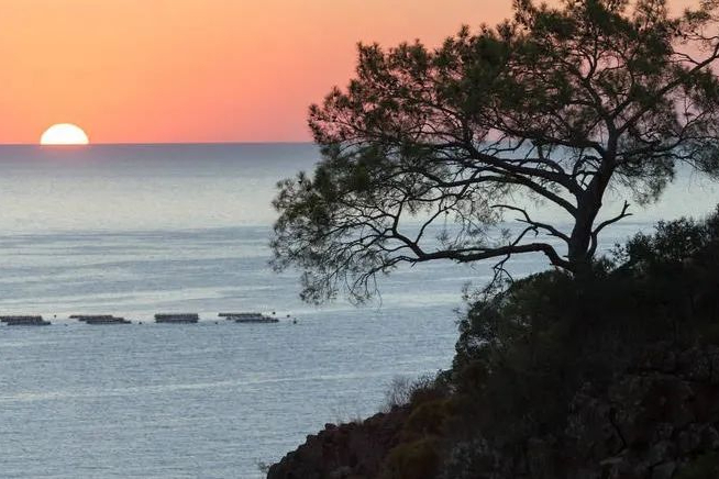 降糖领域风云再起，2款1类新药来袭！恒瑞再报新适应症