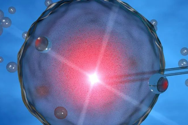 瑞顺生物通用型CD19-CAR-DNT细胞治疗自身免疫性疾病IND申请获CDE正式受理