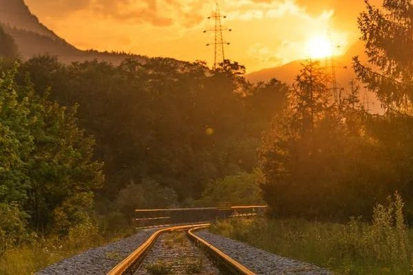 蓝鸟生物修改CDMO协议，提升基因疗法生产效率