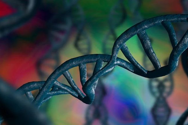 6.2亿美元！日本味之素收购一家基因治疗CDMO