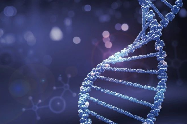 CRISPR Therapeutics：砍掉2个CAR-T项目