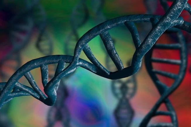 信达生物：与Synaffix宣布扩大ADC技术许可协议