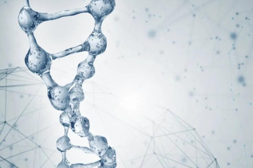 融资3700万美元！免疫新锐开发癌症新靶点T细胞接合器