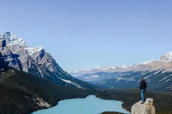 高壁垒！全球多肽CDMO龙头Bachem持续扩张