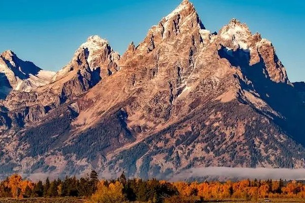 融资2.5亿美元！蓝鸟生物“找钱”新模式