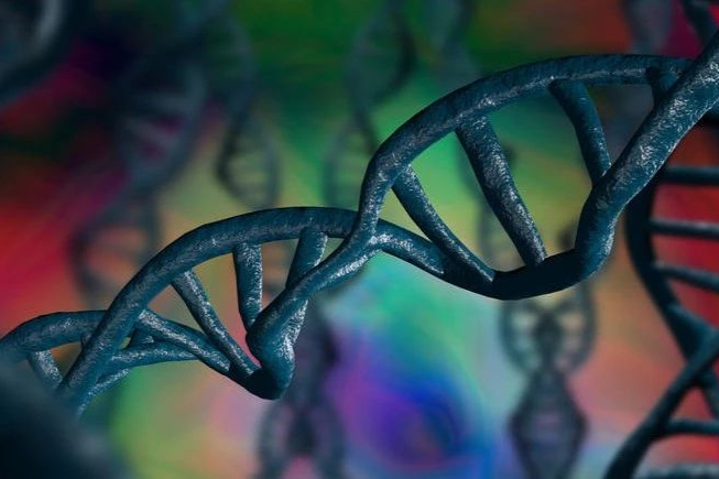 几个月几倍：这些基金在中国CGT企业退出大赚！