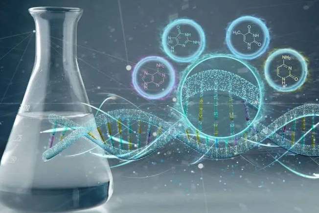 高效能有关物质方法学验证的七个设计