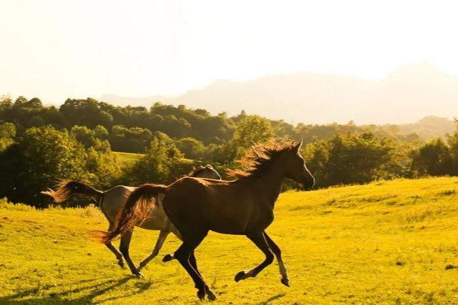 MNC动作频频，国内资本市场兴致平平，是中国创新药不行吗？