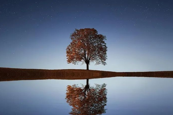 猴价下跌，全球CDMO巨头业绩受影响