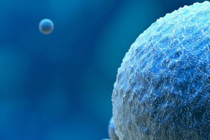 药明康德代表药物都有哪些？在研药品/产品有哪些？