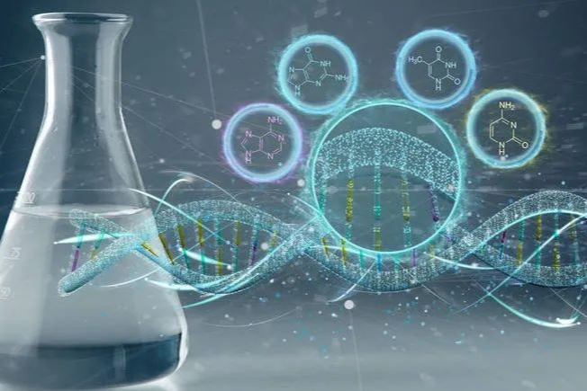 同样是小核酸药物，为什么已上市的siRNA采用递送载体，而ASO却没有？