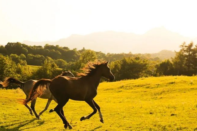 一文知悉罕见病巨头Ultragenyx管线进展与布局