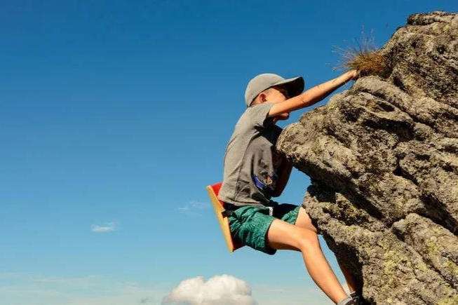 申报资料构成要素及研发内容