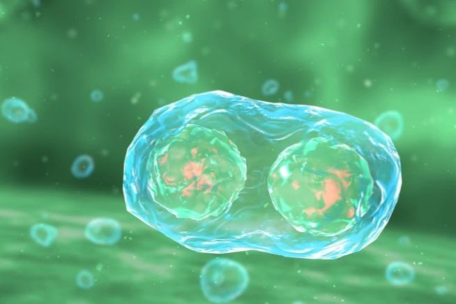 赛诺菲关闭4亿美元收购的NK细胞疗法公司：Kiadis Pharma