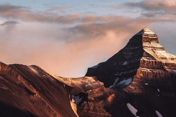 帕金森治疗药物及市场规模：中国有两款帕金森药物即将上市！