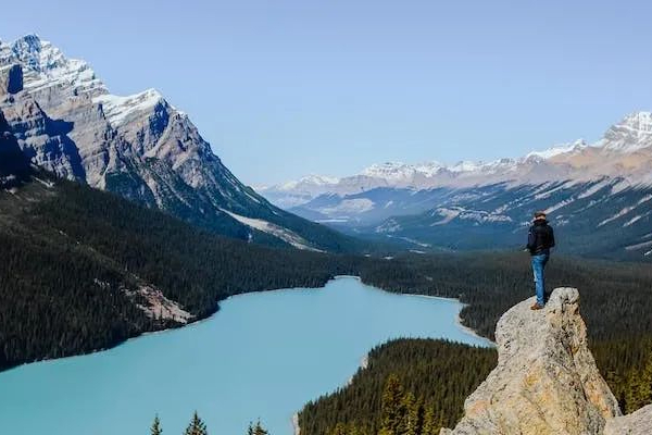 新药获批临床和通过一致性评价品种概述（2024.4.1-4.7）！石家庄四药领跑过评榜