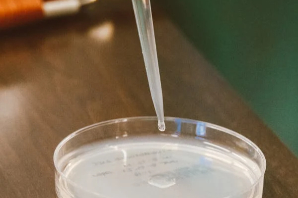 成都倍特药业：两款仿制化药同日获批上市并视同过评