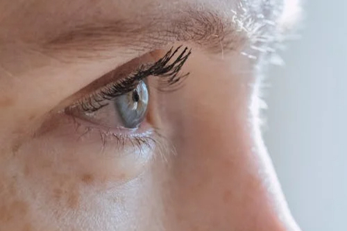 2024年丨CGT领域交易活跃度与投融资全貌分析