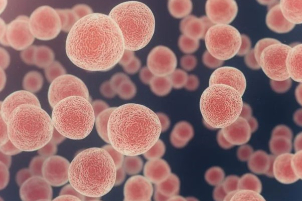 2024年纳入突破性治疗药物程序的药物都有哪些？<表格整理>