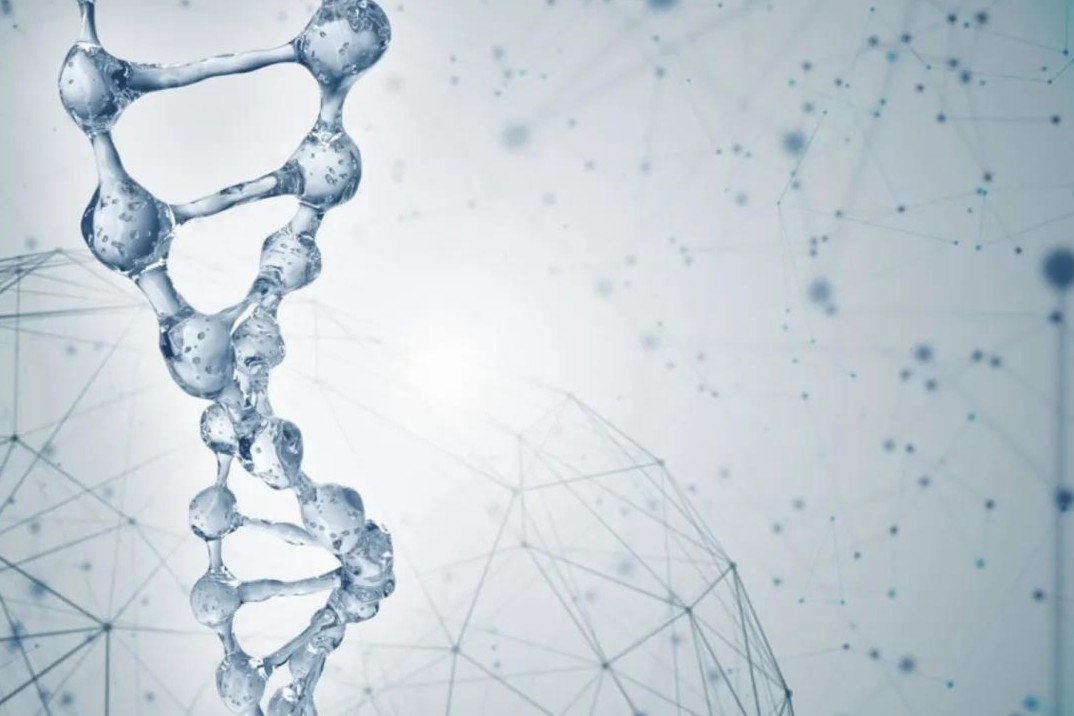 2024年，我国批准的48个1类创新药（详细名单），请查收！