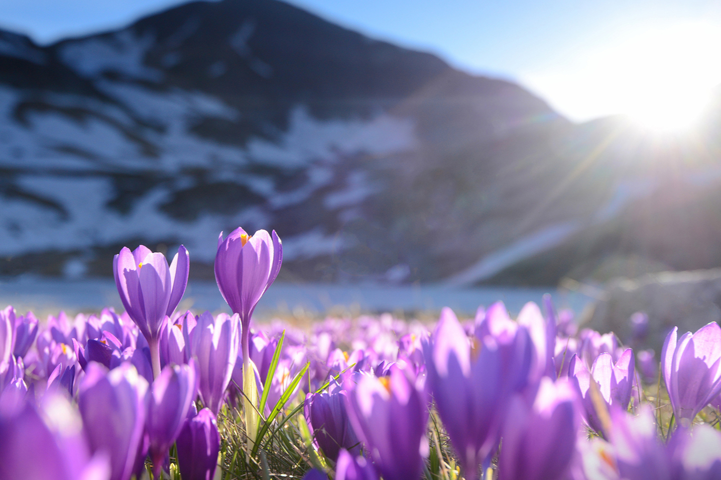 如何在CDE网站查药品的审评审批进度？以及药品的申报企业数量、获批企业数量？