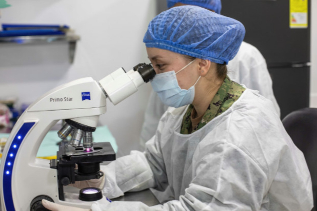 2026中国兽药研发上市流程全解析：从立项到GMP生产的5大关键阶段