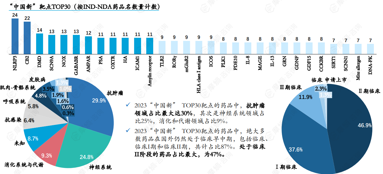 “中国新”靶点TOP30（按IND-NDA药品名数量计数）