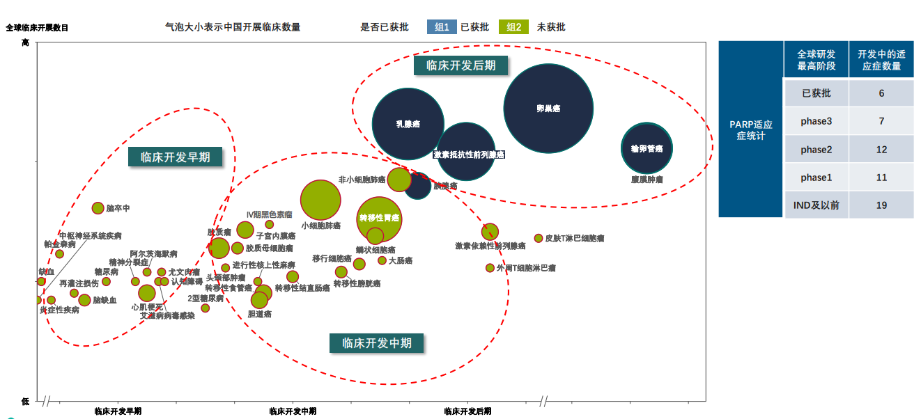 全球PARPi开发的临床适应症开发概览