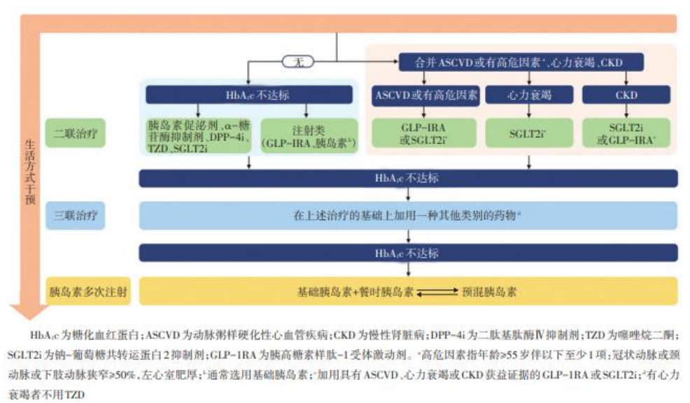 中国2型糖尿病防治指南（2020版）药物治疗路径