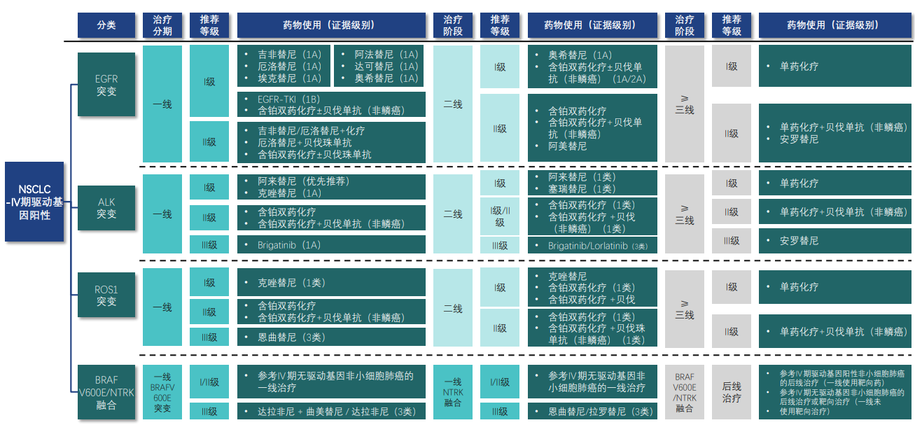 CSCO非小细胞肺癌诊疗指南2021