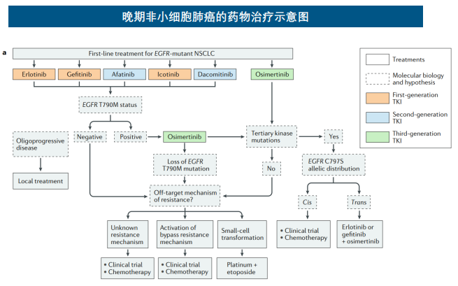 晚期非小细胞肺癌的药物治疗示意图