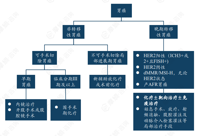 晚期转移性胃癌的一线治疗标准
