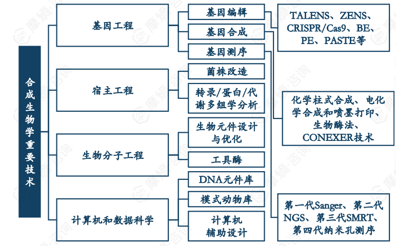合成生物学重要技术