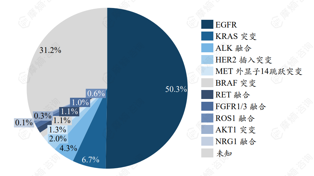 中国NSCLC驱动基因图谱