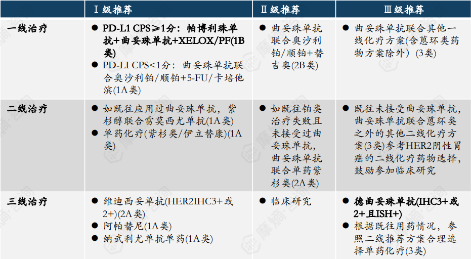 HER2阳性（ICH3+或2+且FISH+）的诊疗指南