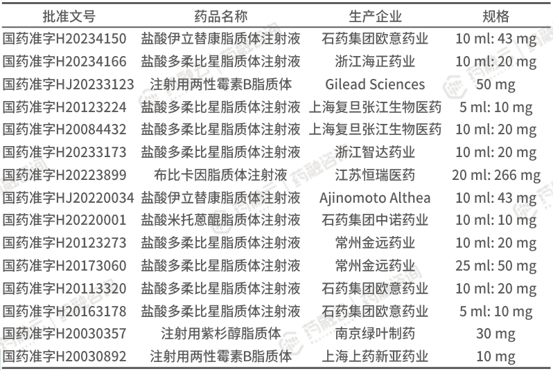 中国上市脂质体注射剂药物批文情况