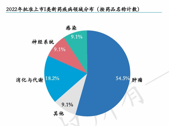 2022年批准上市I类新药疾病领域分布（按药品名称计数）