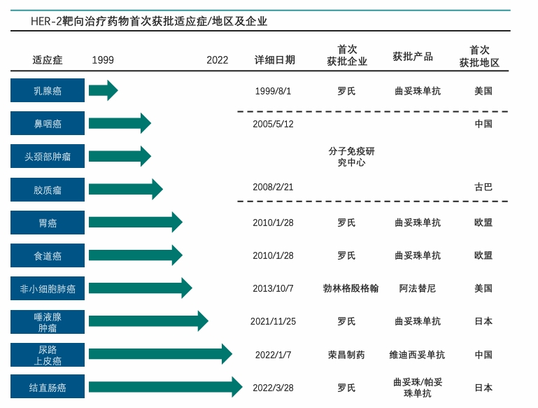 HER-2靶向治疗药物首次获批适应症/地区及企业