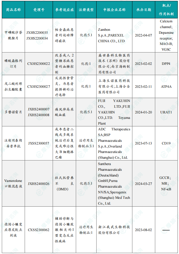 2024 年 12 月国内获批上市的新药（部分）