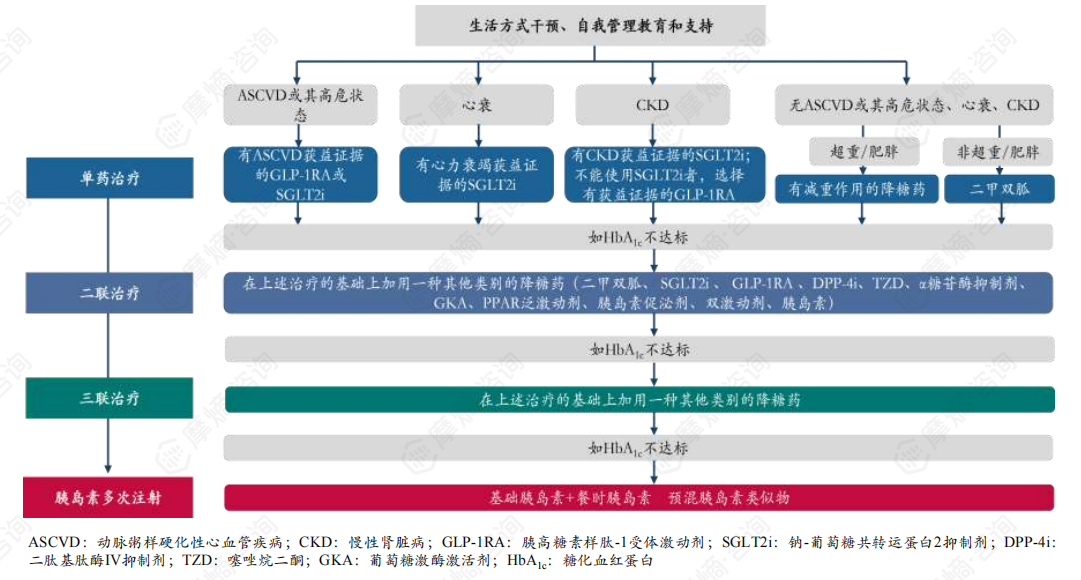 糖尿病综合控制目标和治疗路径（中国糖尿病防治指南2024版）