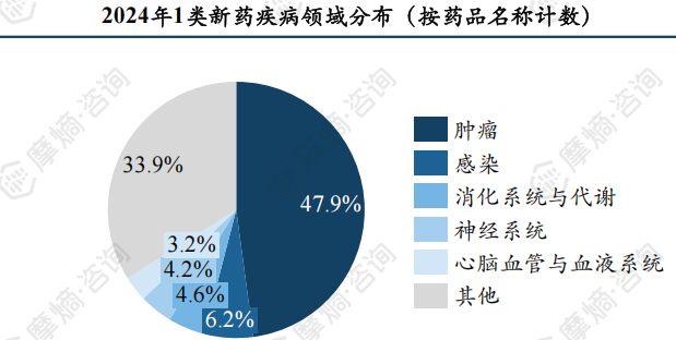 2024年1类新药疾病领域分布（按药品名称计数）