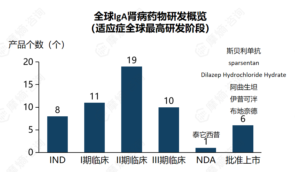 全球lgA肾病药物研发概览（适应症全球最高研发阶段）