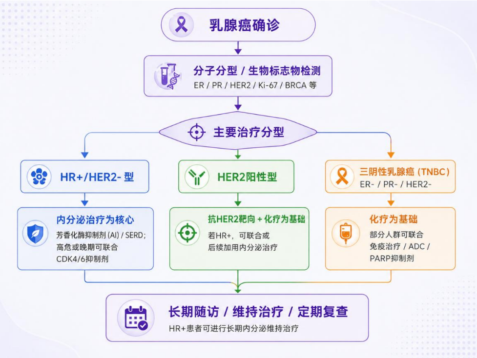 乳腺癌治疗路径示意图