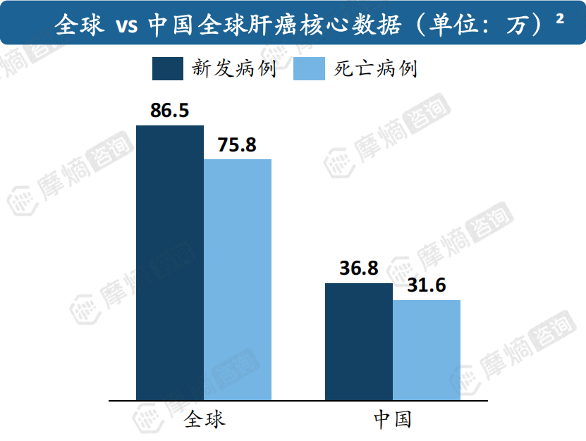 全球vs中国全球肝癌核心数据（单位：万）